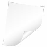 Blank Sheet of Paper with Curved Corner