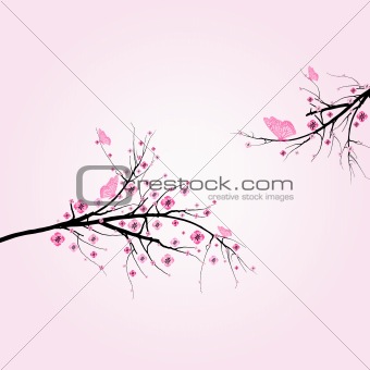 Blossom cherry 