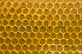 Honeycomb fo honey closeup macro background.