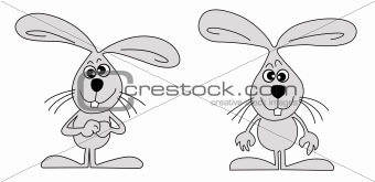 vector drawing hare on white background