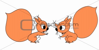 vector drawing squirrel on white background