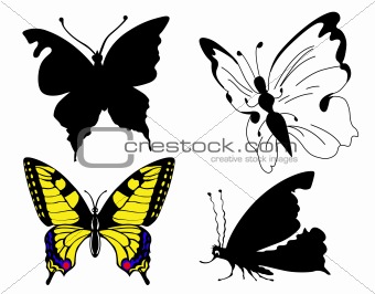 set butterfly on white background