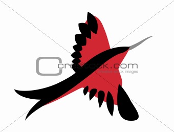red  bird on white background