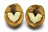Two nuts with abstract hearts for Valentine's Day