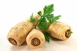 Parsley root with smooth parsley
