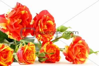 bouquet of multicolored roses, small sprays