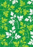 Parsley background on green.