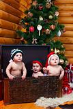 Three babies in xmas hats inside large chest