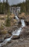 Tangle Waterfall Alberta Canada
