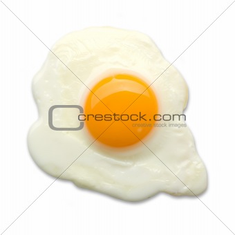 fried egg on a white