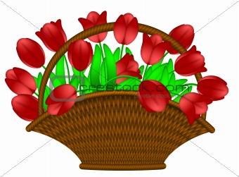 Basket of Red Tulips Flowers Illustration
