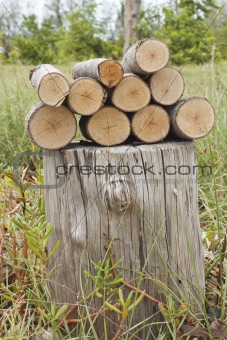 Pile of logs on stumpy