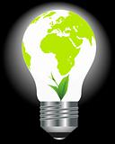 light bulb with a globe and a green plant