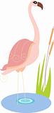 vector cartoon pink flamingo