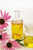 Coneflower essential  oil in bottle - stillife