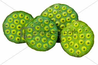 Isolated bunch of lotus seeds