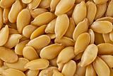 golden flax  seeds