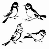 birds silhouette on white background, vector illustration