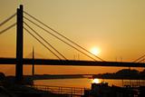 Bridges in Belgrade