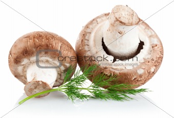 fresh mushroom champignon with twig dill