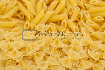 farfalle and penne