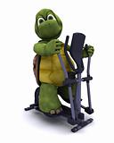 Tortoise with a cross trainer