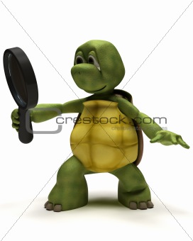 Tortoise witha magnifying glass