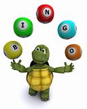 tortoise with bingo balls