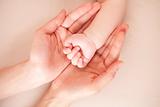 Baby hand in mother's palm 