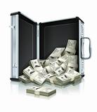 case with dollars money concept