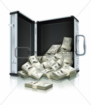 case with dollars money concept