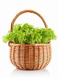 green leaves lettuce in the basket