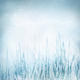 Winter  nature background with frozen grass 