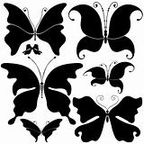 Set black butterflies
