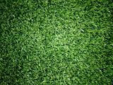 Texture and surface of green turf center light