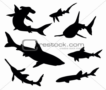 Sharks silhouettes
