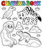 Coloring book zoo animals set 2