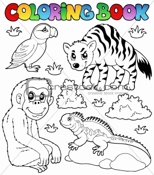 Coloring book zoo animals set 2