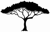 Tropical tree silhouette