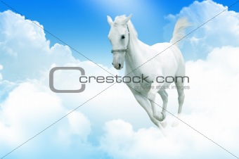 White horse in motion, in the sky, surrounded by clouds