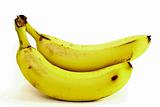 Two ripe bananas on white background