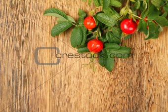 Dog rose on a wooden surface