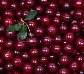Wet ripe red cherries as background 