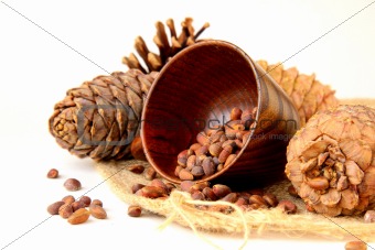 pine nuts, with cedar on a white background