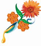 honey drop flows down from spoon with flower