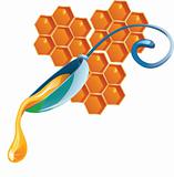 honey drop flows down from spoon