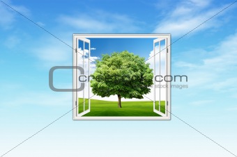 Windows and tree