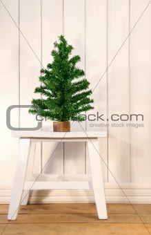 Little green fir tree