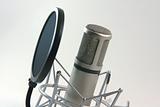 recording microphone and filter