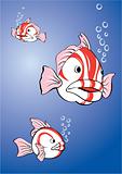 white-red fish